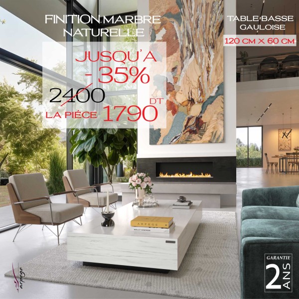 GAULOISE MARBRE